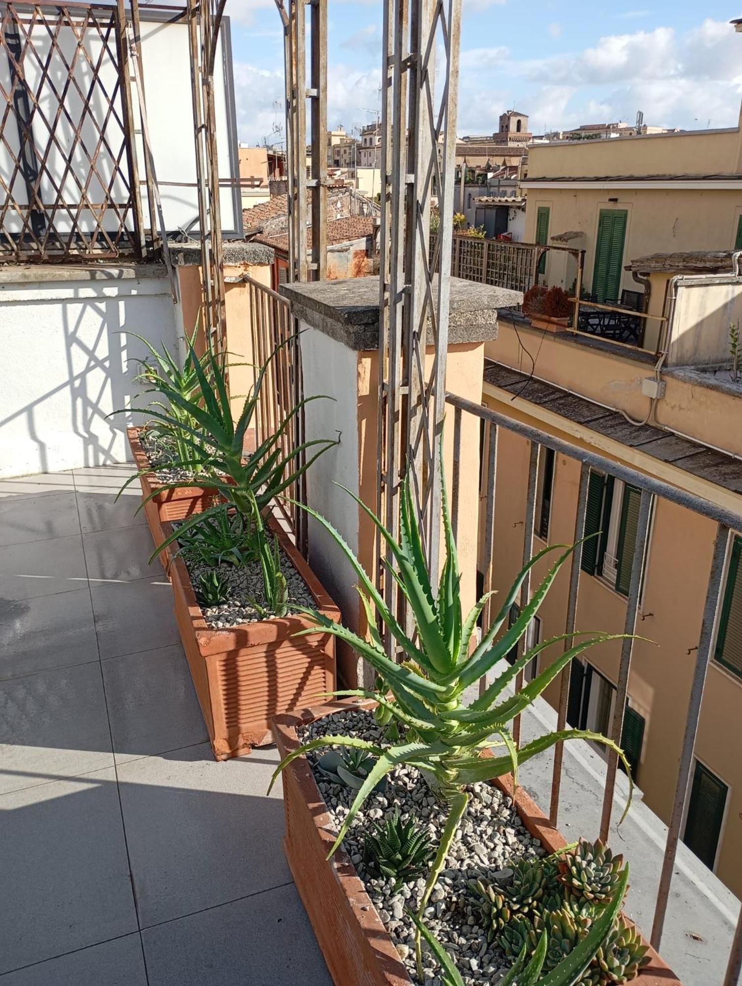 Colosseum Exclusive Duplex Rome Buitenkant foto